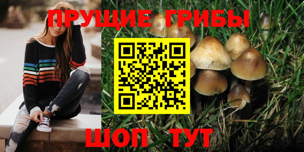 наркота  Галлюциногенные грибы Psilocybe  Вход с VPN  Кохма  Галлюциногенные грибы Psilocybe 