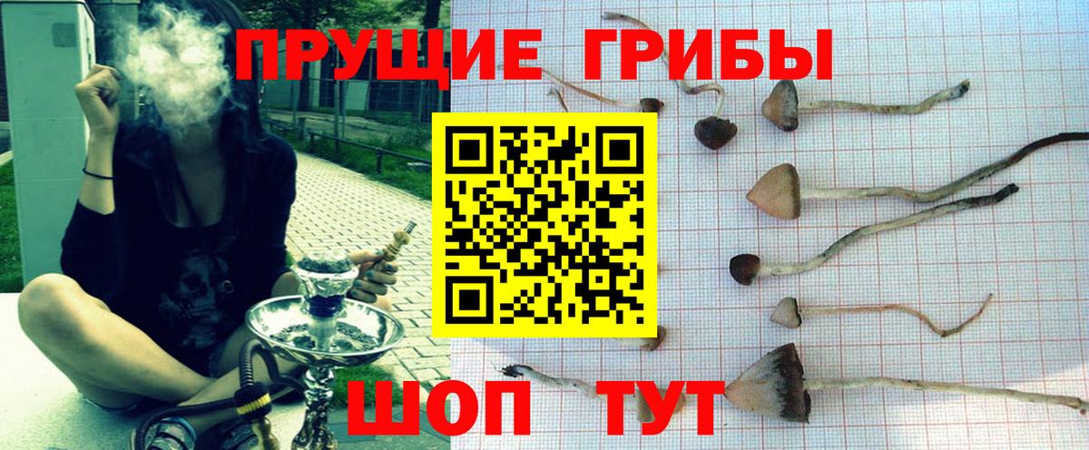 Галлюциногенные грибы MAGIC MUSHROOMS Кохма