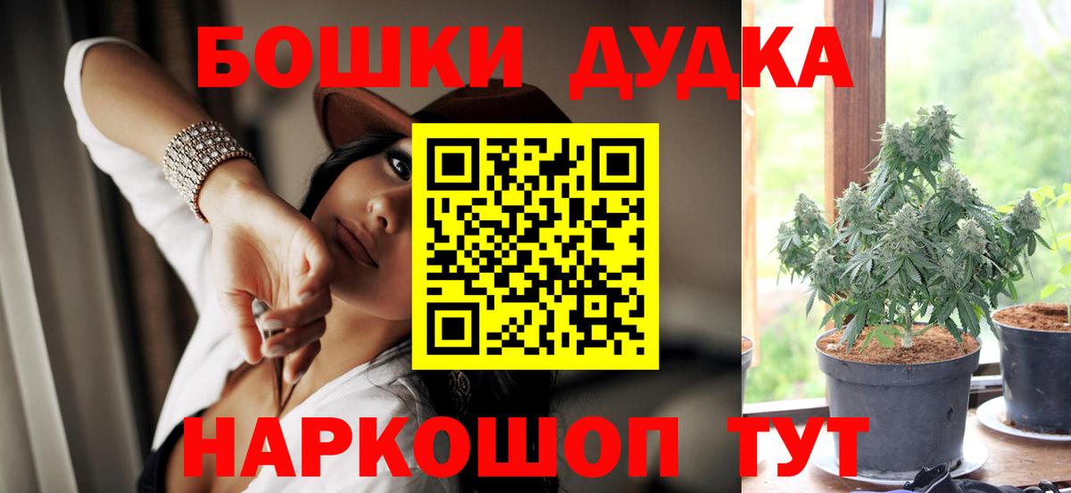 Каннабис SATIVA & INDICA  Каннабис семена  Кохма  Канабис семена  Вход с VPN 